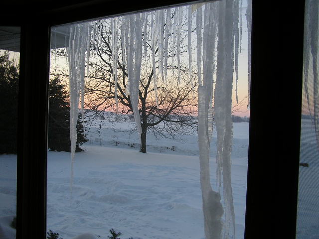 Icicles-2008-02-1.JPG