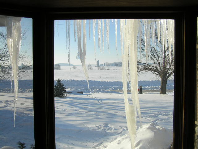 Icicles-2008-05-1.JPG