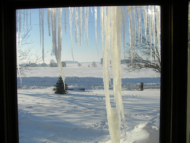 Icicles-2008-06-1.JPG