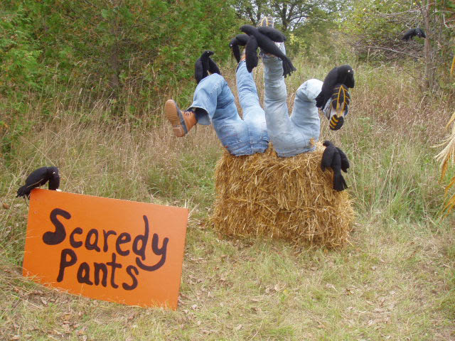 ScareCrow-ScaredyPants.jpg