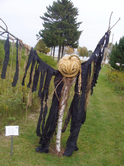 ScareCrow-rottenHead-1.JPG
