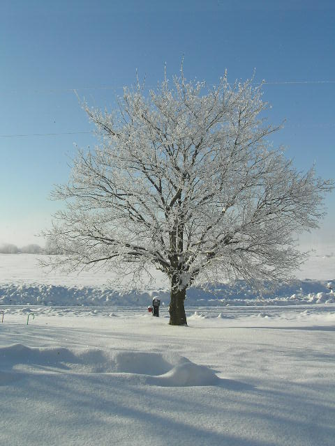 Winter-2007-02-1.JPG