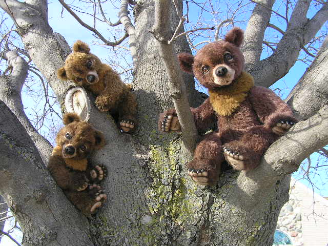 BEAR-IN-TREE-1.JPG