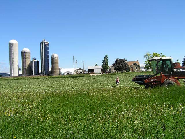 FARM_PIC05.jpg