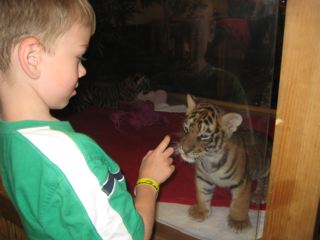 IMG_1310.jpg