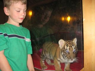 IMG_1314.jpg