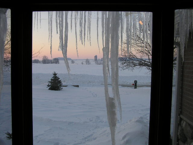 Icicles-2008-1.JPG