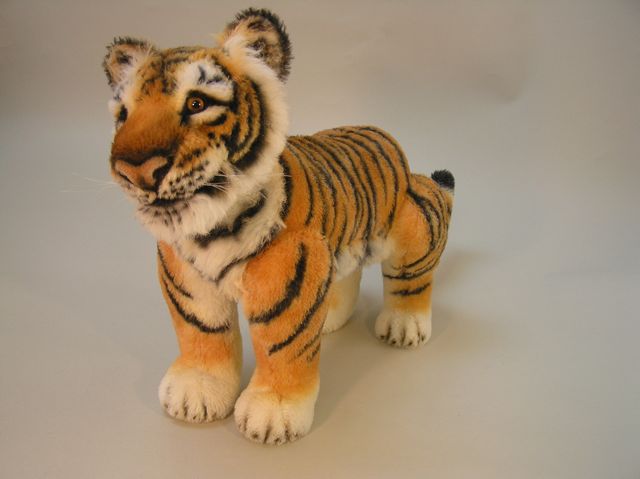 New-tiger-19.jpg