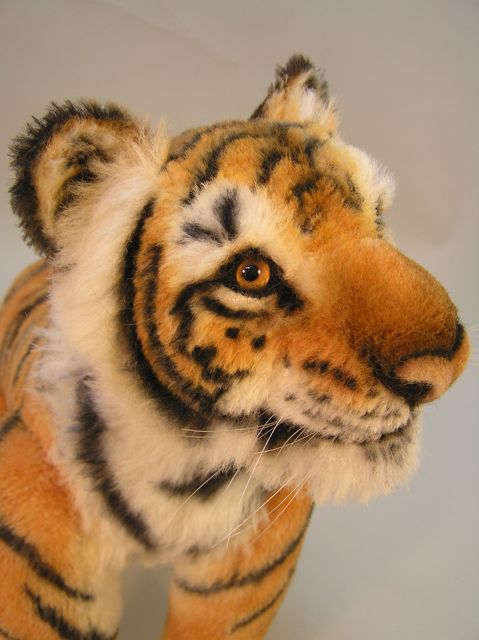 New-tiger-28.jpg