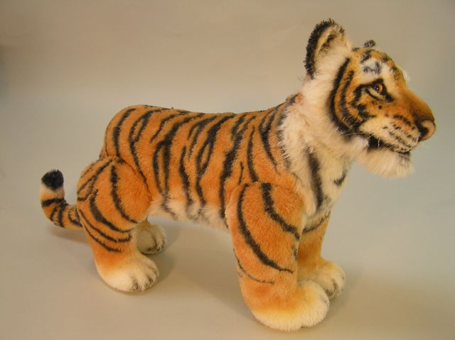 New-tiger-39.jpg