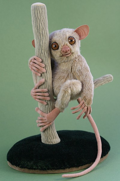 Tarsier7.jpg