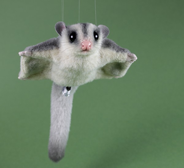 sugarglider1.jpg