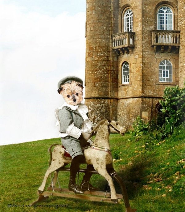 1400720518_vintage_boy_on_rocking_horse_monty_at_yorkshire_castle_smaller.jpg