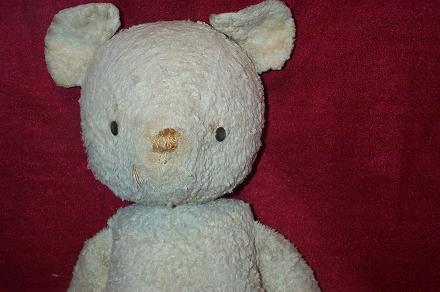 bearfacess.JPG