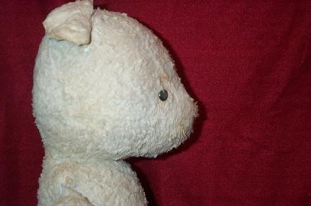 bearsidess.JPG