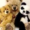 Jolene's Bear Cubs