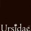 ursidae