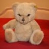 teddy167487