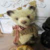 Carlyle Bear Co.