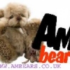 am_bears