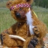 Yellowstone Country Bears