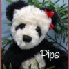 Pipa