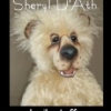 Sheryl D'Ath