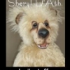 Sheryl D&#039;Ath